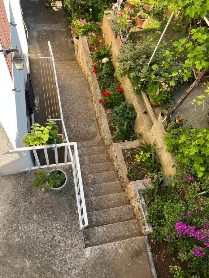 Apartments Despotović Vis Zewnętrze zdjęcie