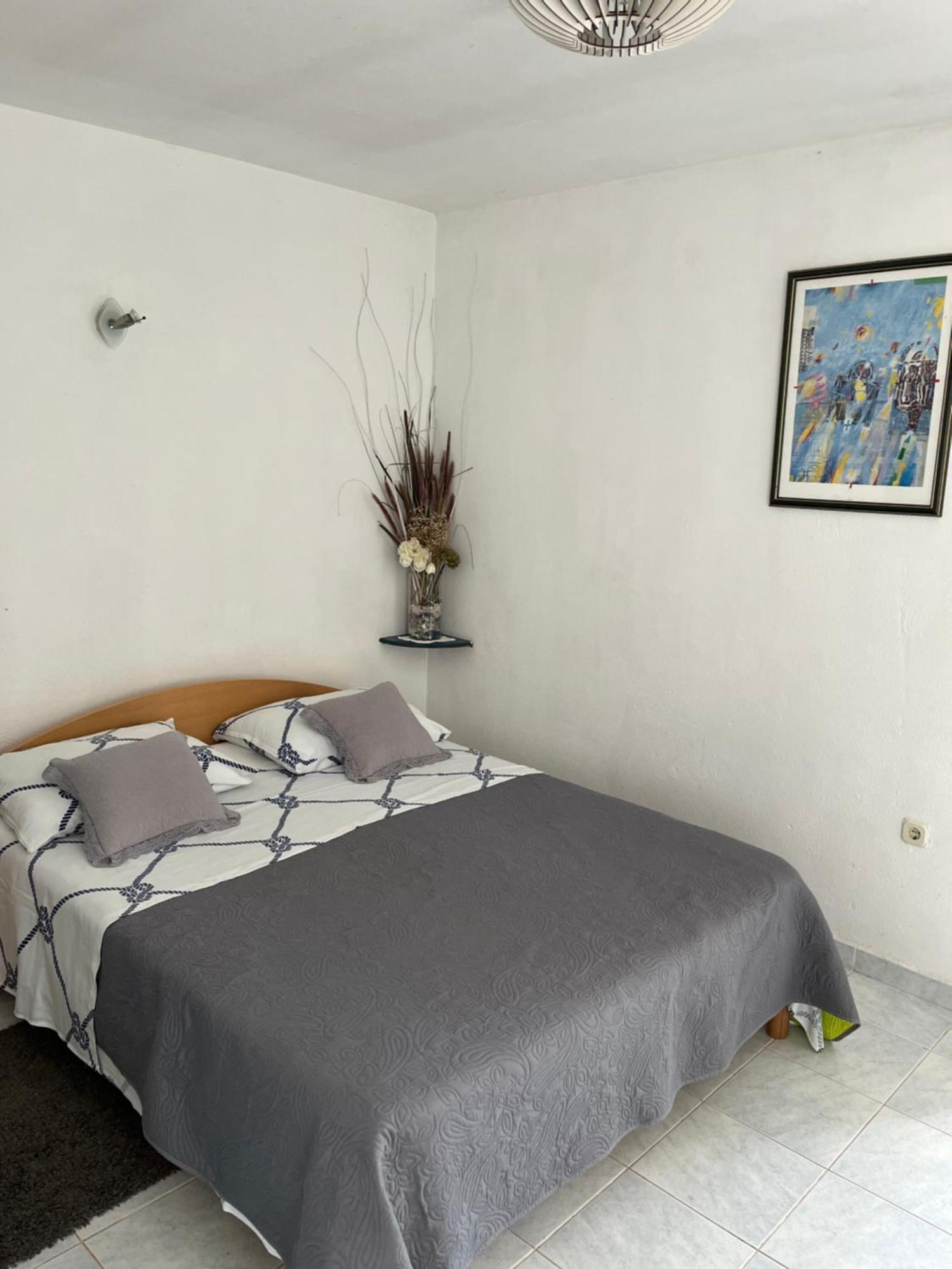 Apartments Despotović Vis Zewnętrze zdjęcie